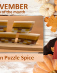 Illusion Cleanse Bar Soap - Pumpkin Puzzle Spice